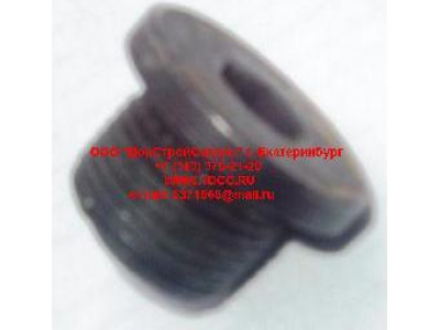 Пробка крышки бортового редуктора М22х1,5 H HOWO (ХОВО) 190003961309 фото 1 Комсомольск-на-Амуре