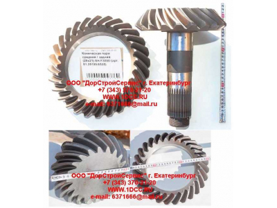 Коническая пара заднего редуктора (28х21////) SH F3000 SHAANXI / Shacman (ШАНКСИ / Шакман) 81.35199.6535 фото 1 Комсомольск-на-Амуре