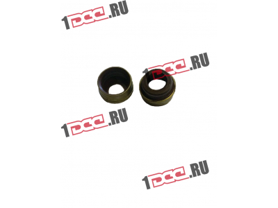 Колпачок маслосъемный WP12 SHAANXI / Shacman (ШАНКСИ / Шакман) 61800050151 фото 1 Комсомольск-на-Амуре