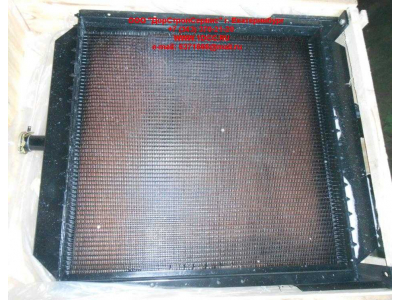 Радиатор охлаждения двигателя CDM 855EK Lonking CDM (СДМ) CDM855EK.01I.04 фото 1 Комсомольск-на-Амуре