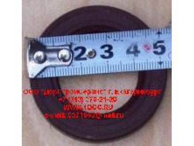 Сальник 32х52х12 НШ H HOWO (ХОВО) 601989 фото 1 Комсомольск-на-Амуре