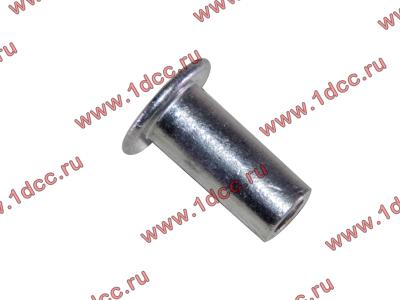 Заклепка алюминиевая 10х24 H2/H3 HOWO (ХОВО) 189000340068 AL фото 1 Комсомольск-на-Амуре