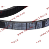 Ремень 8PK1160 SH (612600061295) SHAANXI / Shacman (ШАНКСИ / Шакман) 612600061752 фото 2 Комсомольск-на-Амуре