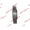 Шестерня привода распредвала промежуточная WD615/WP10 HOWO (ХОВО) VG1560050053/61560050053 фото 3 Комсомольск-на-Амуре